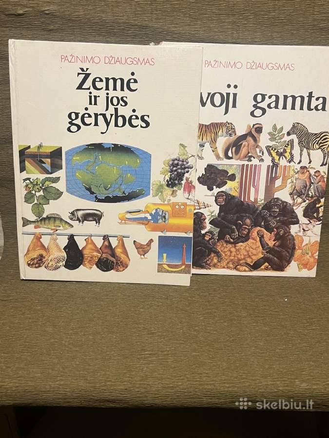 Pazinimo dziaugsmas
