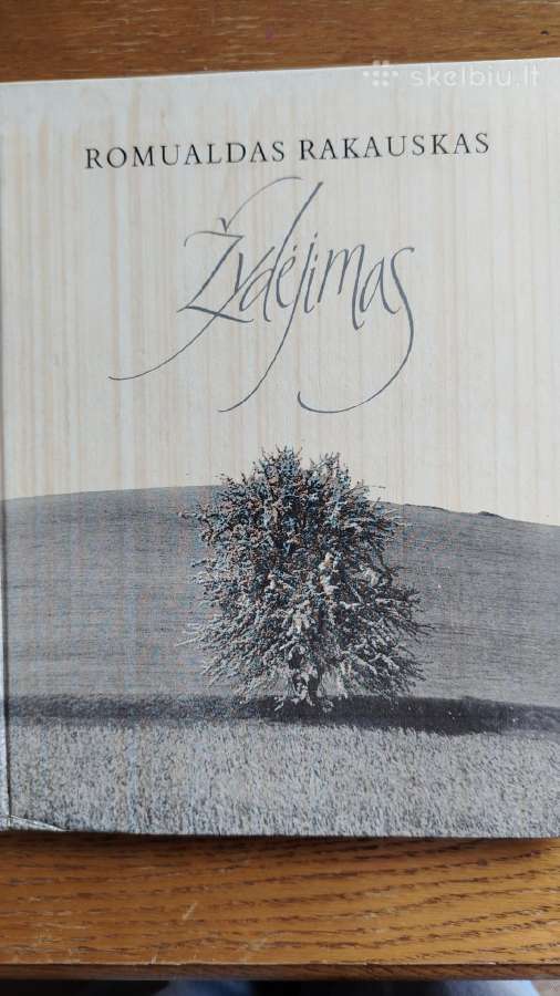 Romualdas Rakauskas Žydėjimas