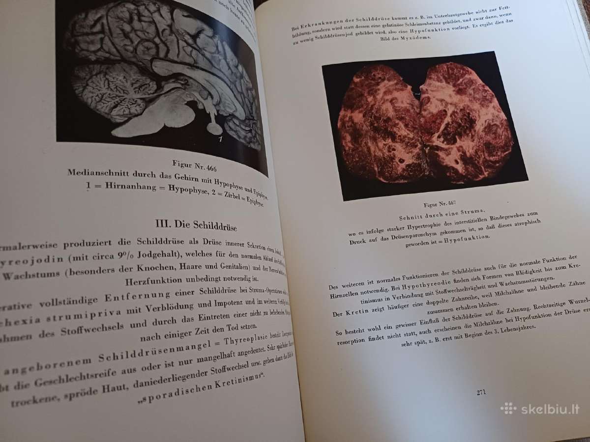 Parduodu knyga,medicinos/odontologijos atlasas1937 - nuotraukos Nr. 35