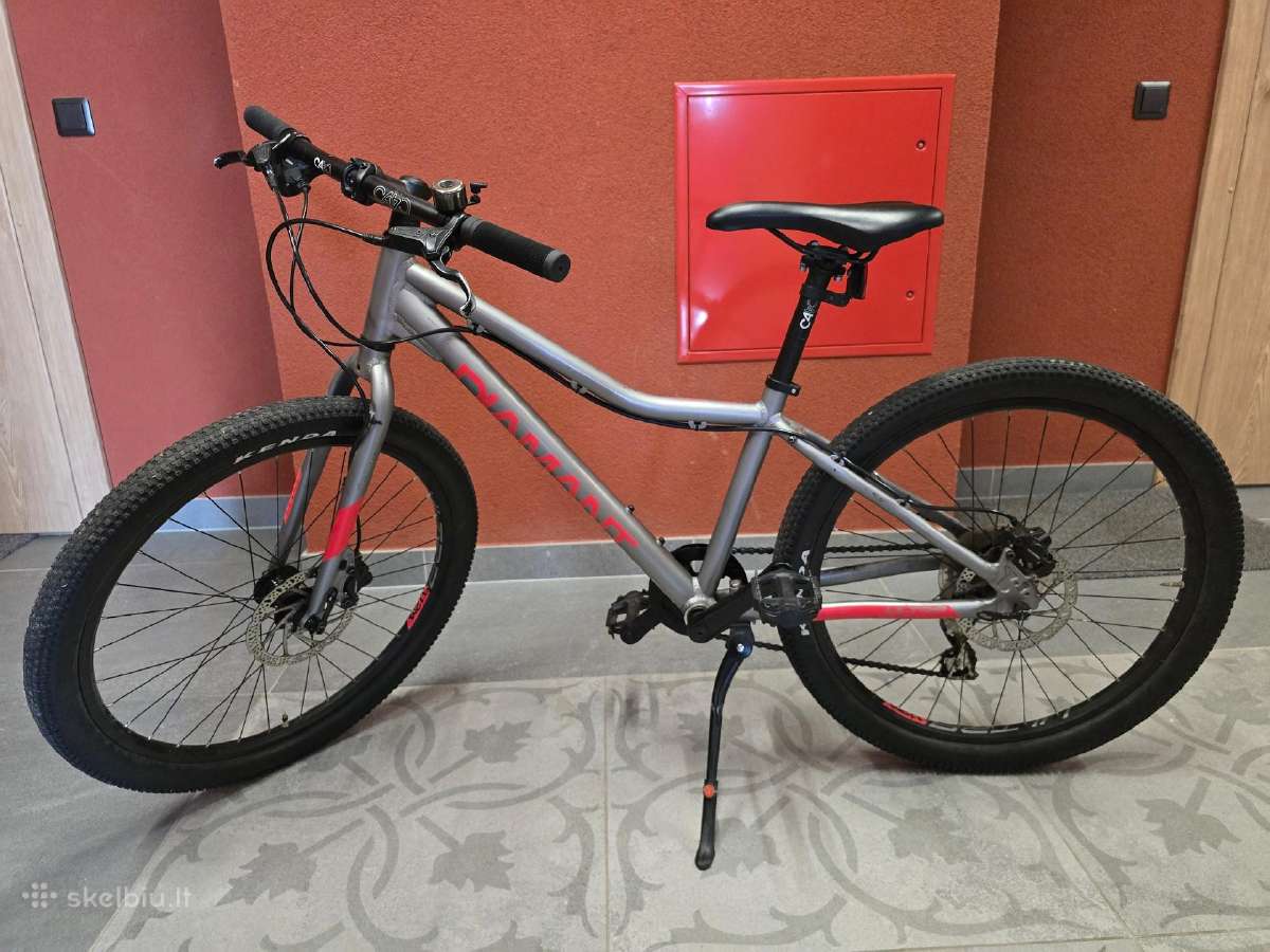 Vaikiškas dviratis 24 colių ratais
