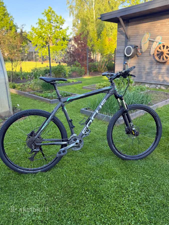 Focus Whistler Sport Series 29 kalnų dviratis