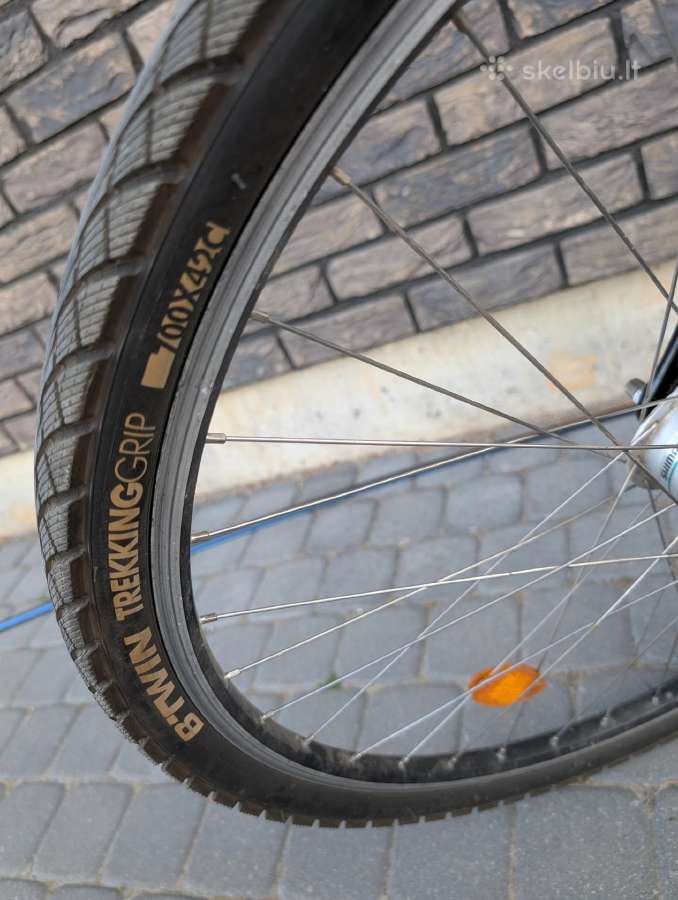 Pegasus milano GT - nuotraukos Nr. 5