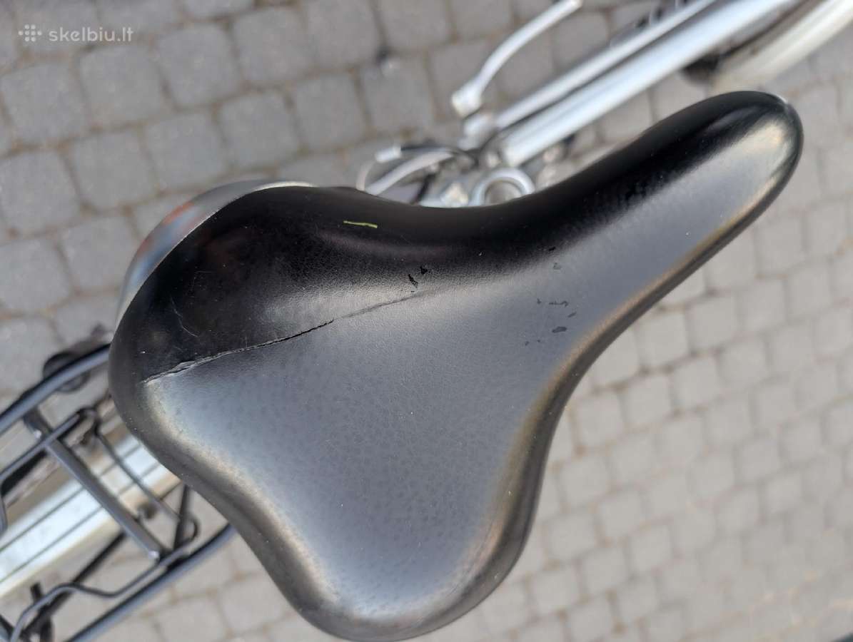 Pegasus milano GT - nuotraukos Nr. 6