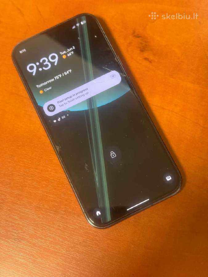 Google Pixel 9 Pro (Naudotas, puikios būklės)