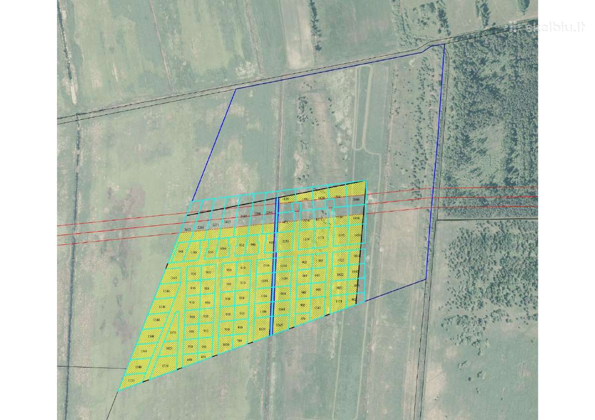 27 Ha Sklypas Šalia Jūros Būtingėje, Palangos Sav. - nuotraukos Nr. 4