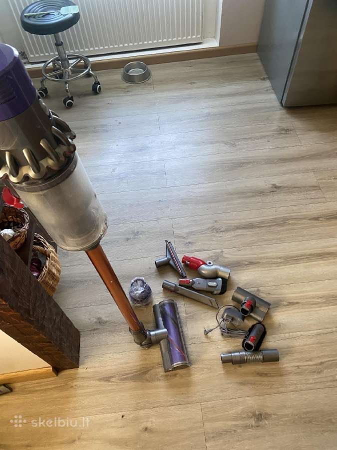Dyson v10