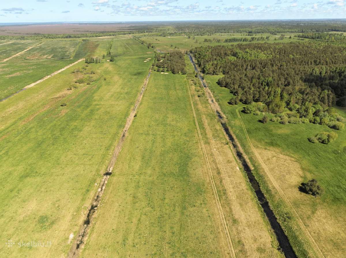 27 Ha Sklypas Šalia Jūros Būtingėje, Palangos Sav. - nuotraukos Nr. 6