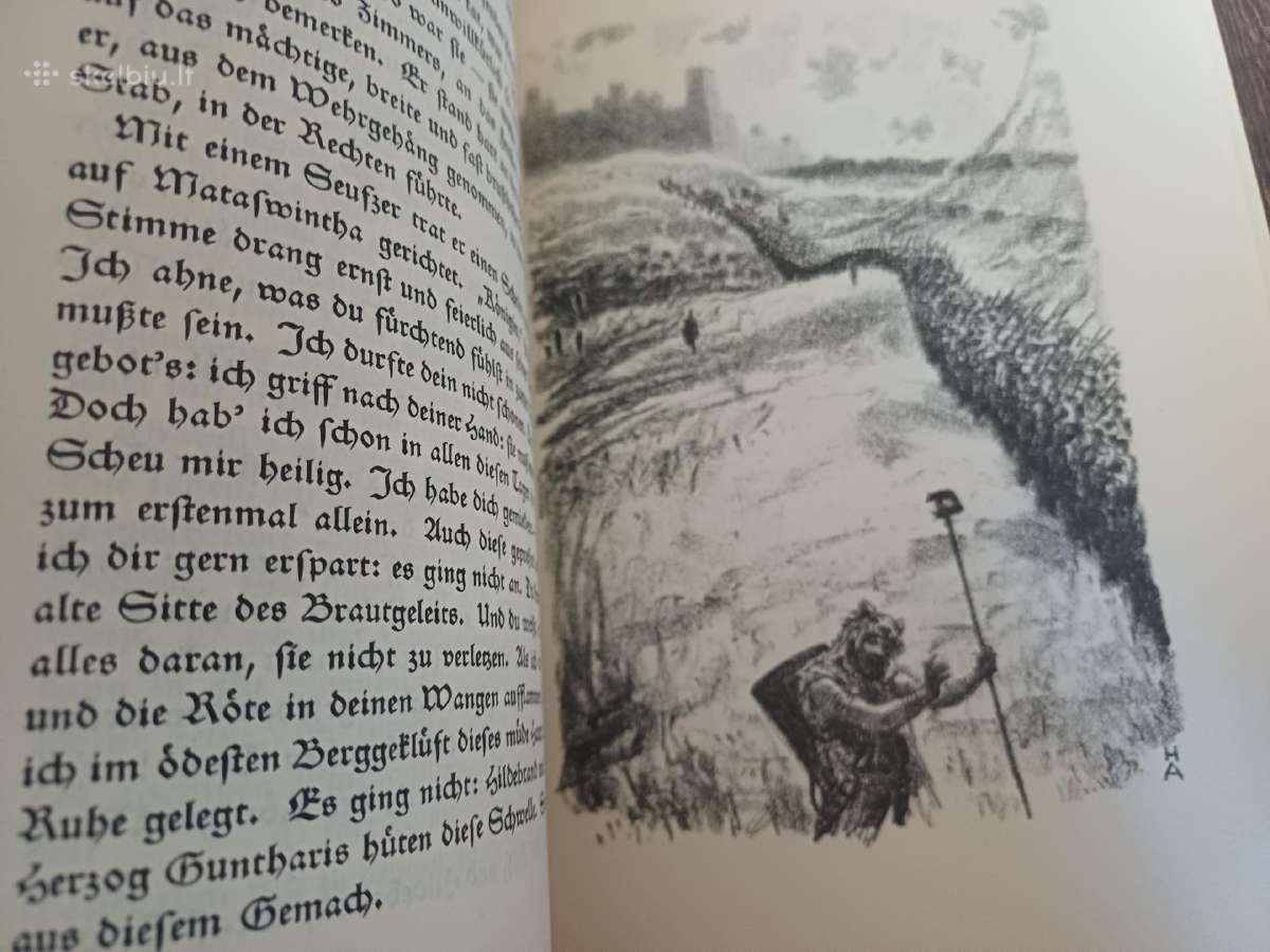 Parduodu 3t knygu,kova dėl romos,1920-1922m - nuotraukos Nr. 22