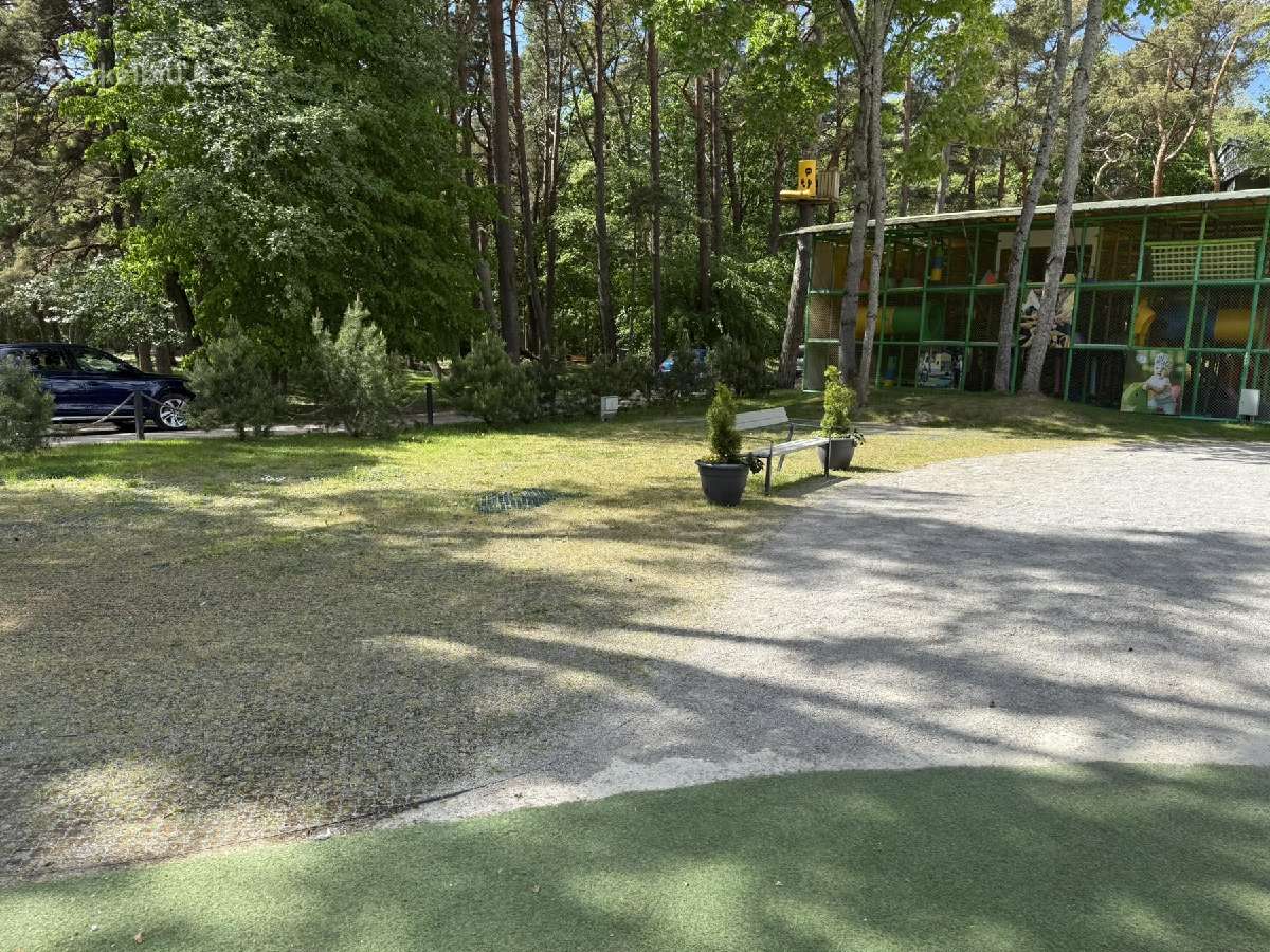 Nuomojama erdvė Basanavičiaus g. Palangoje