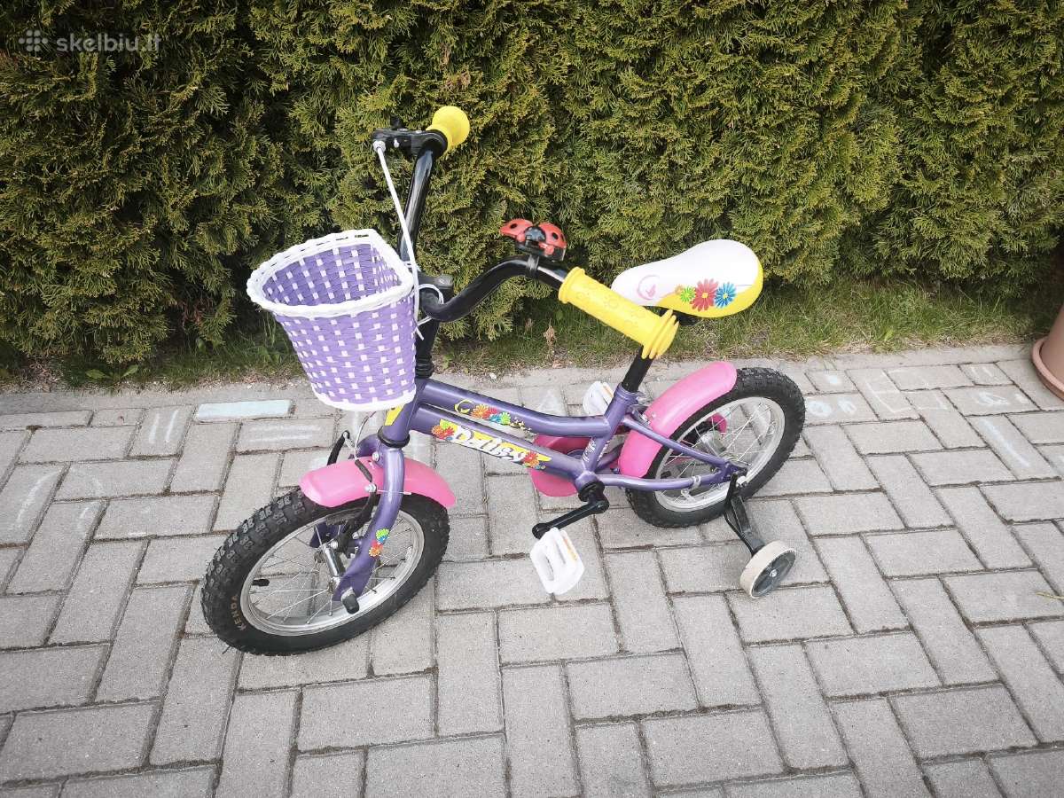 Vaikiškas dviratis Dhs Daisy 1402