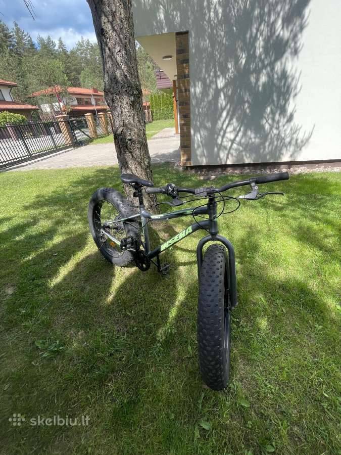 Vaikiškas dviratis