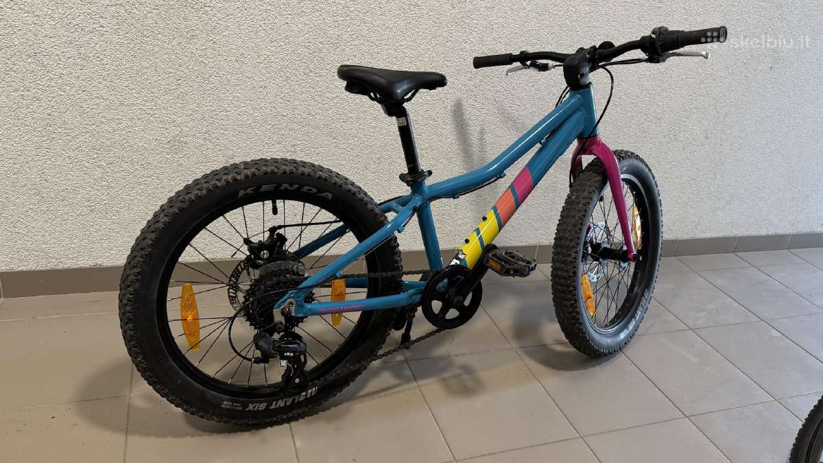 Dviratis 20 Bergamont Bergamonster 20 Plus 2025