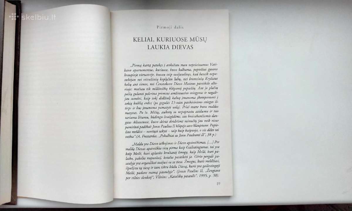 Širdies kalba. Septynios meilės liepsnos. Įtikėti - nuotraukos Nr. 24