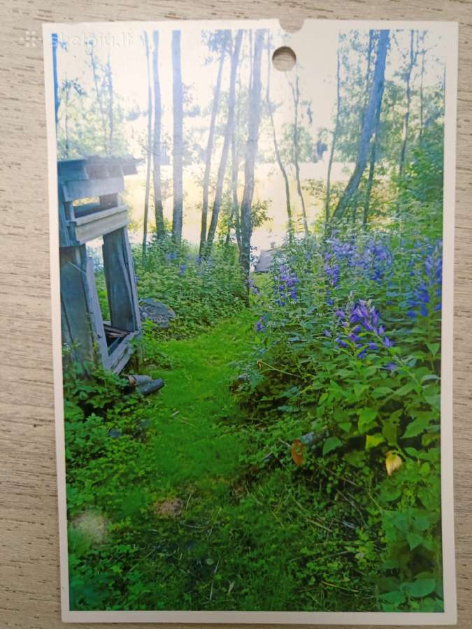 Ramus poilsis ant Krumiškio ežero kranto - nuotraukos Nr. 2