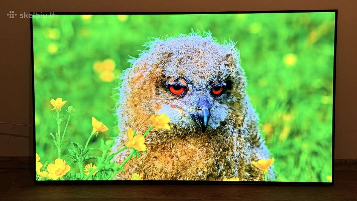 LG Oled55c12 4k 120hz Gaming TV Hdr Youtube Go3 - nuotraukos Nr. 2