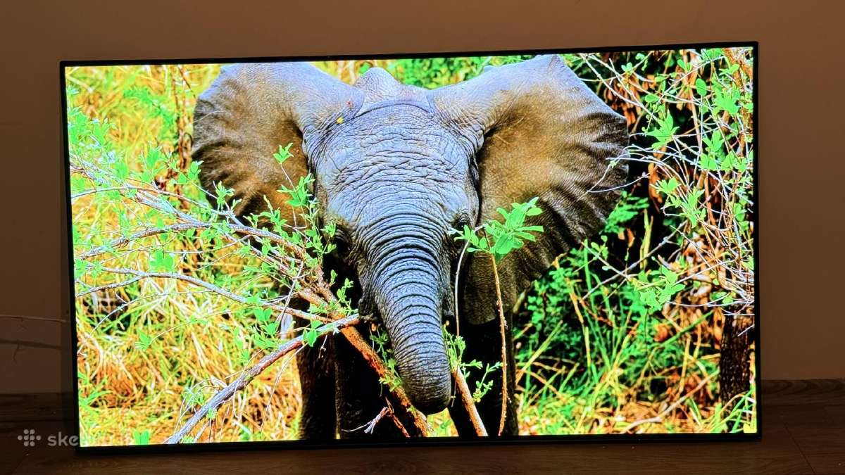 LG Oled55c12 4k 120hz Gaming TV Hdr Youtube Go3 - nuotraukos Nr. 4