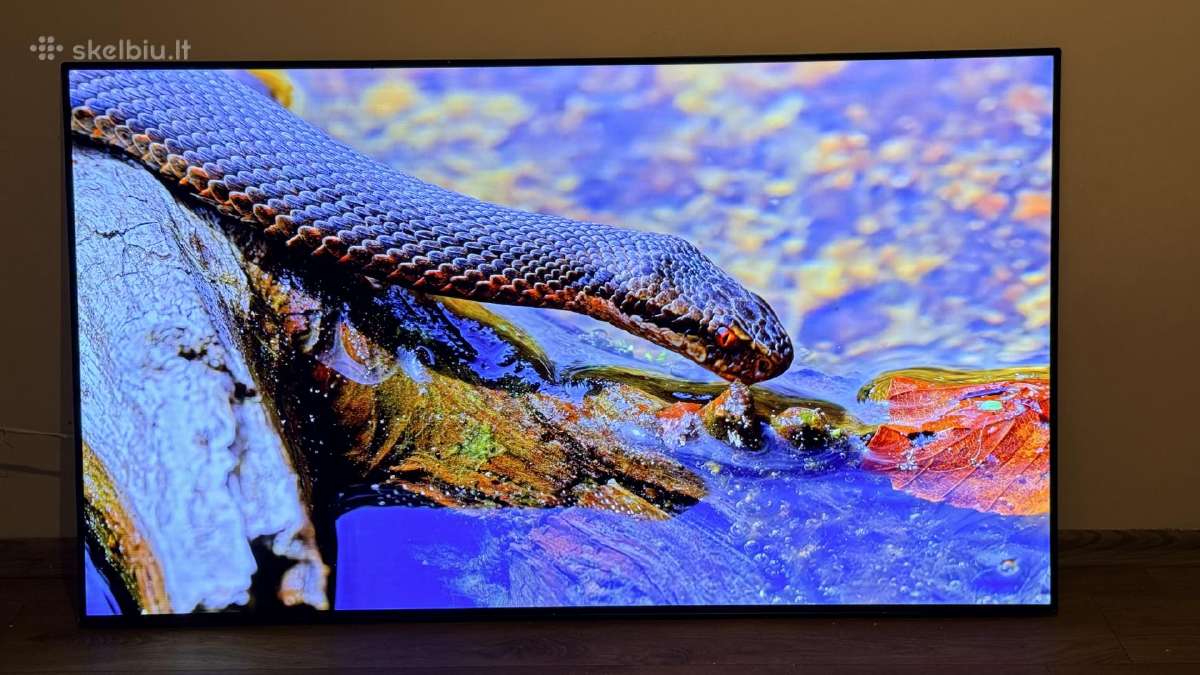 LG Oled55c12 4k 120hz Gaming TV Hdr Youtube Go3 - nuotraukos Nr. 5
