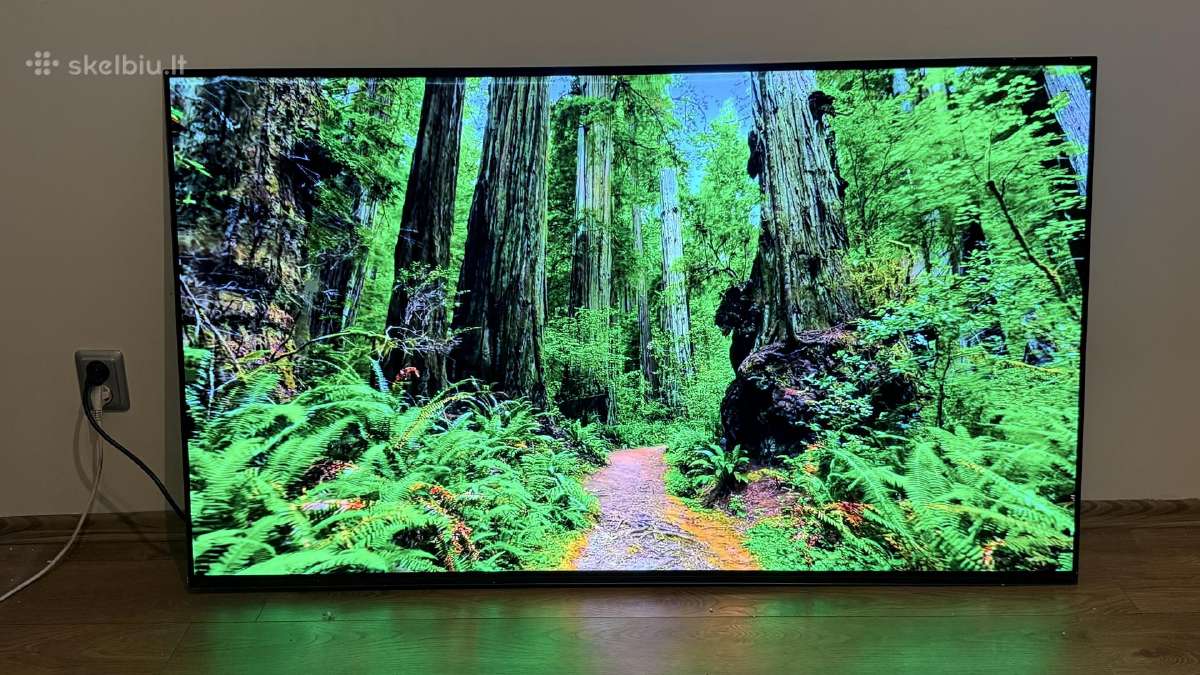 Sony Kd-65a89 4k 120hz Oled Bravia Hdr Android TV - nuotraukos Nr. 8