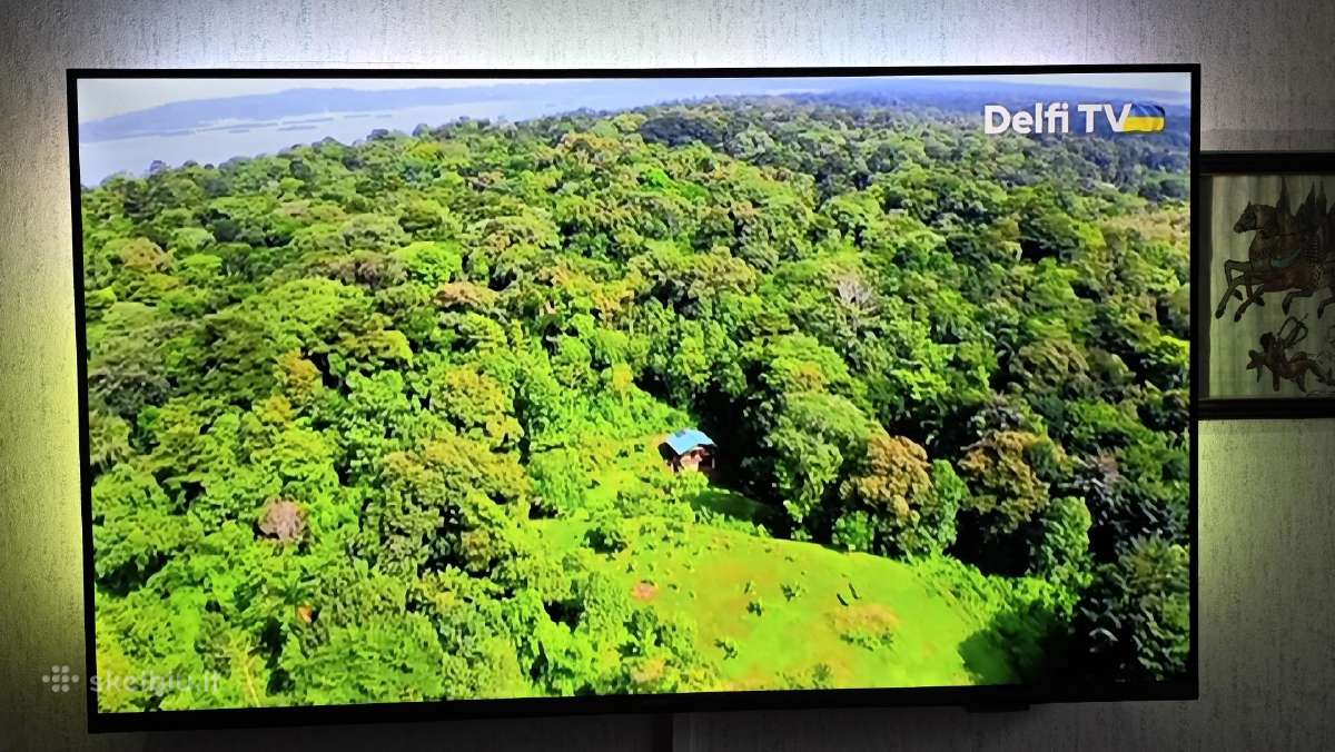 43 Philips su ambilight 3, naujas