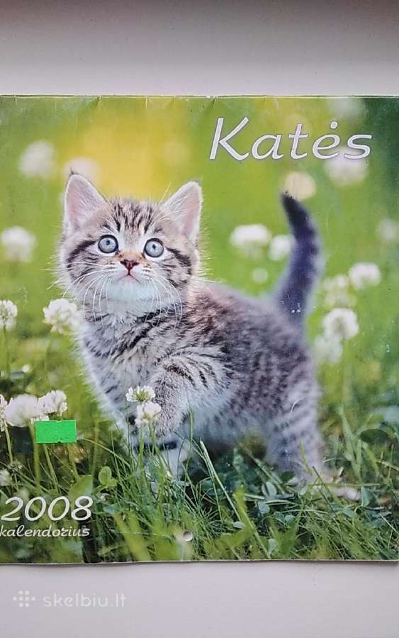 Katės kalendorius 2008