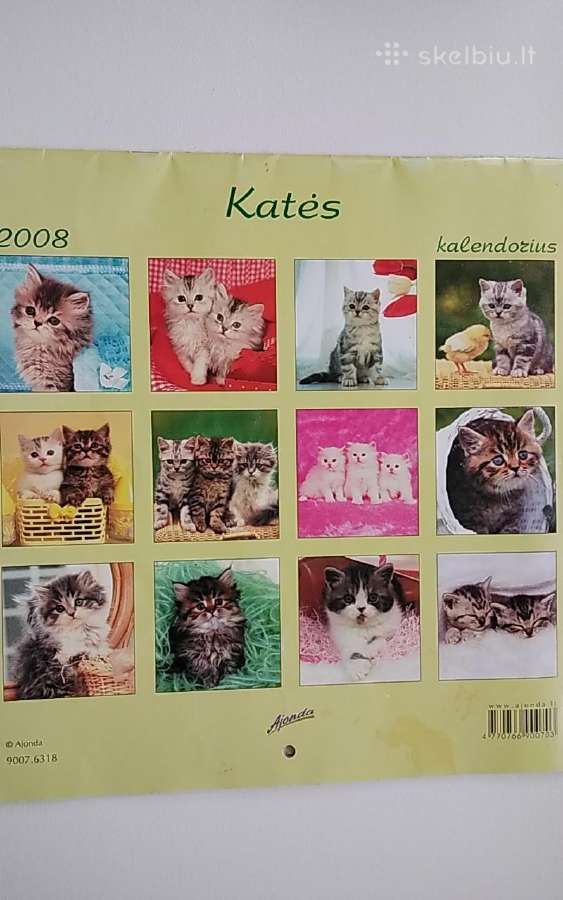 Katės kalendorius 2008 - nuotraukos Nr. 15