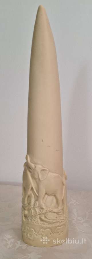 Dekoratyvinis ragas.