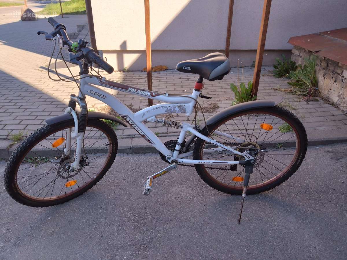 Dviratis avigo paladin 26"