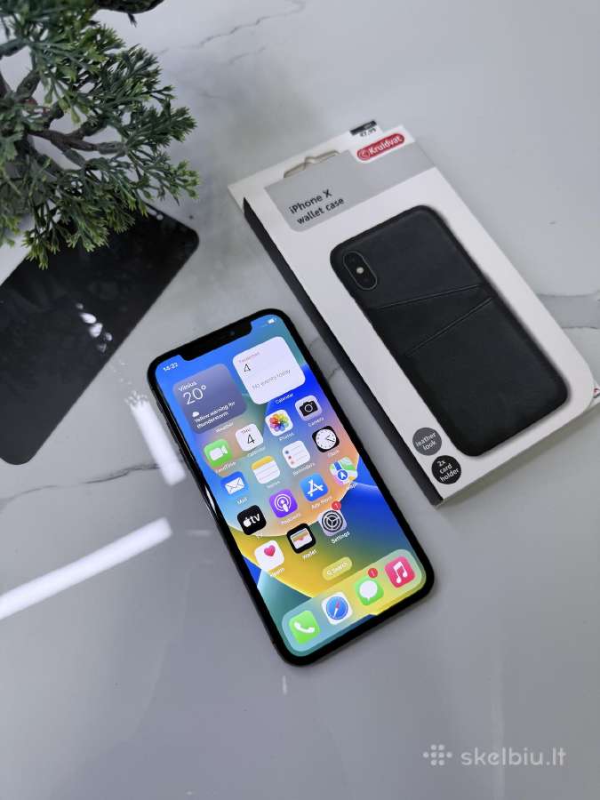 iPhone X 256 GB