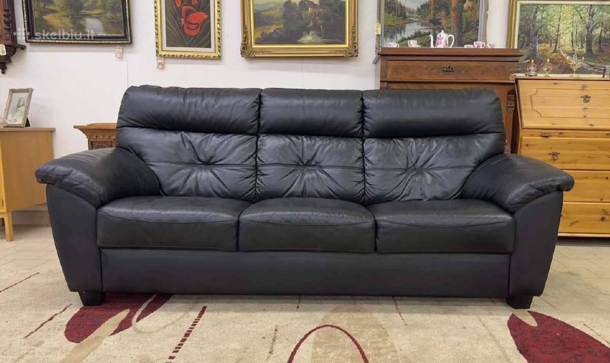 Odinė Sofa