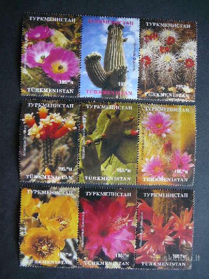 Kaktusai Turkmenija 1999 Mnh tkm09s