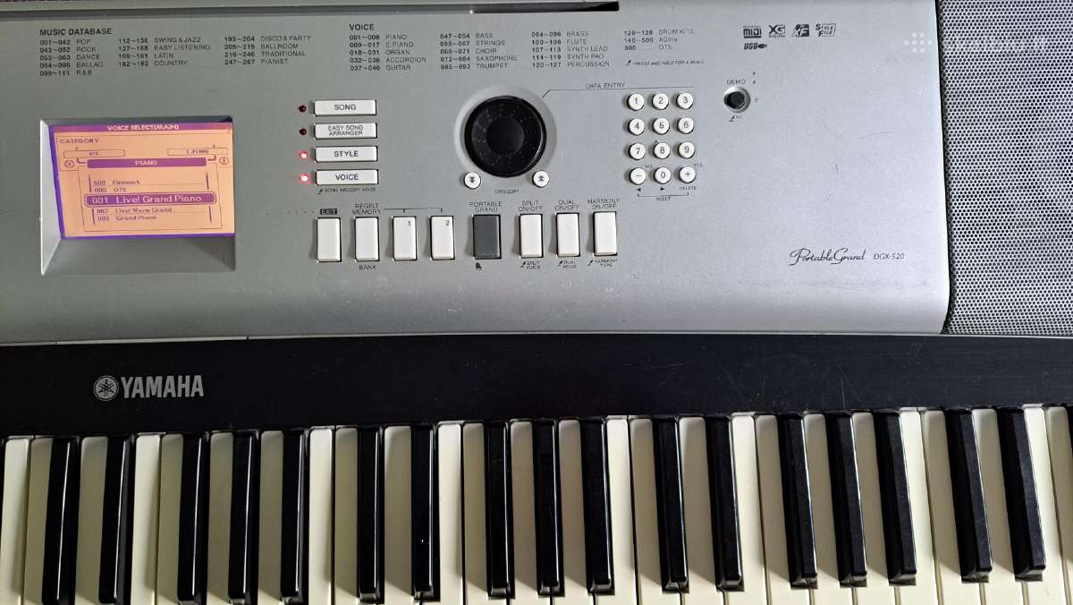Skaitmeninis pianinas Yamaha Dgx-520 Portablegrand - nuotraukos Nr. 9