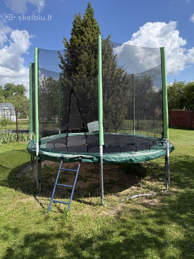Batutas Pro-line 3,6 m
