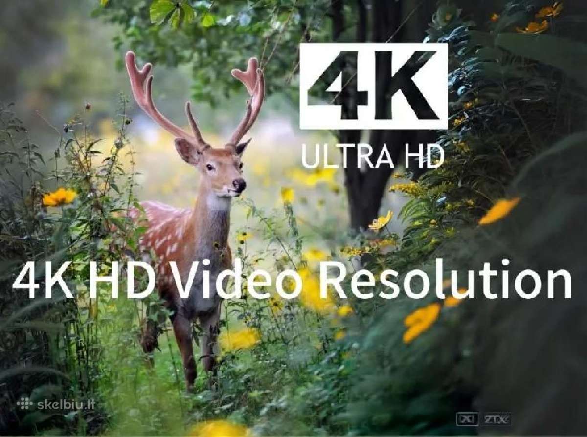 Naujas modelis! Medžioklinė lauko kamera Hc950 pro - nuotraukos Nr. 7
