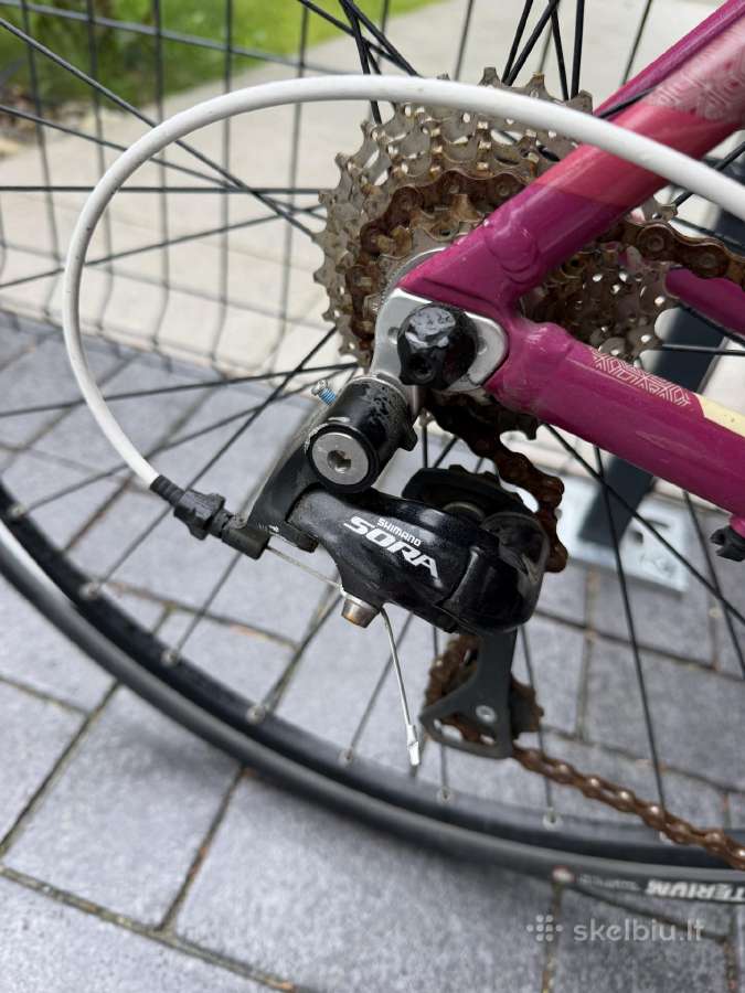 Plentinis Orbea Avant Shimano Sora mot dviratis - nuotraukos Nr. 6