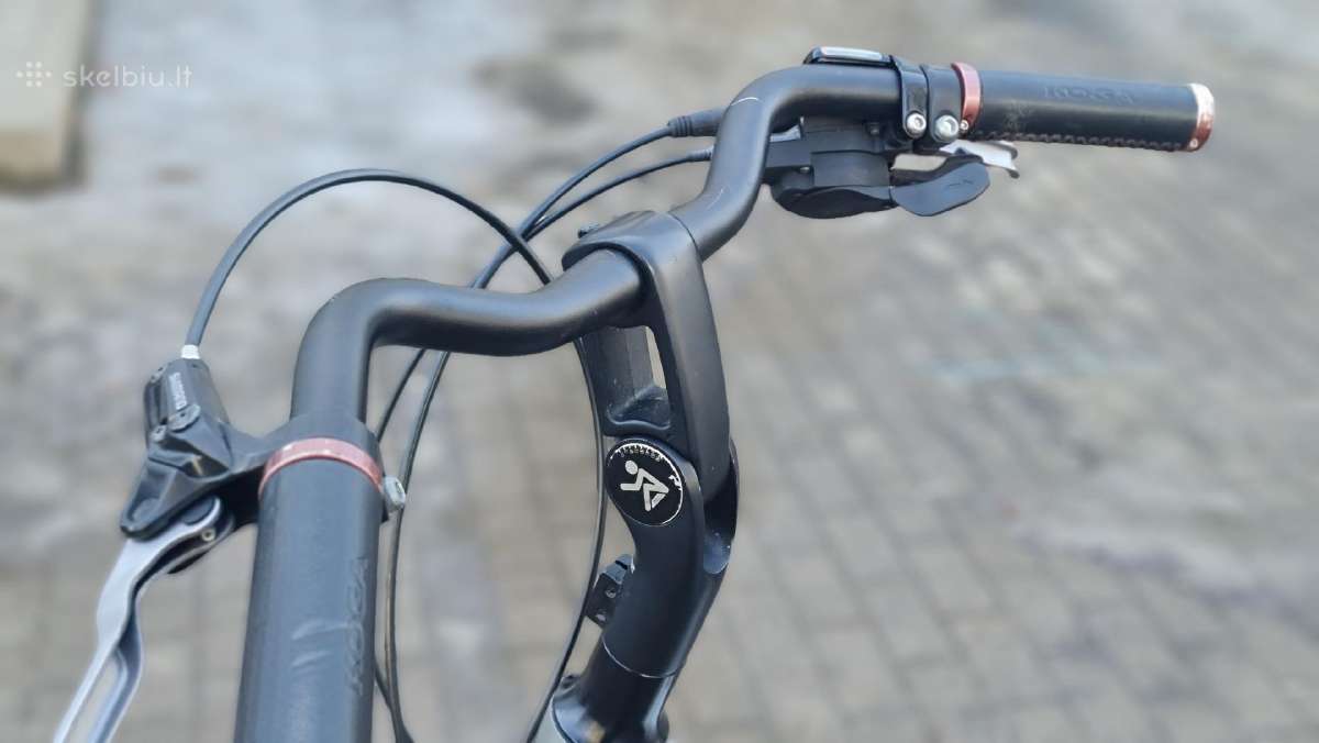 Premium klasės Koga 3.6 diržinė pavara, Alfine 11 - nuotraukos Nr. 8