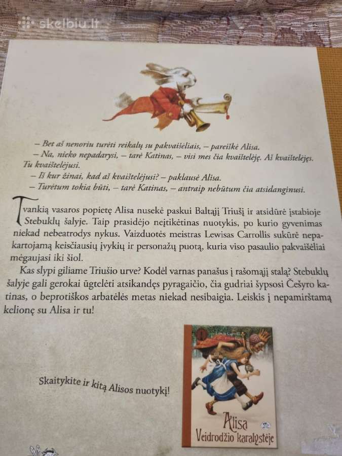 Alisa Stebuklų šalyje - nuotraukos Nr. 8
