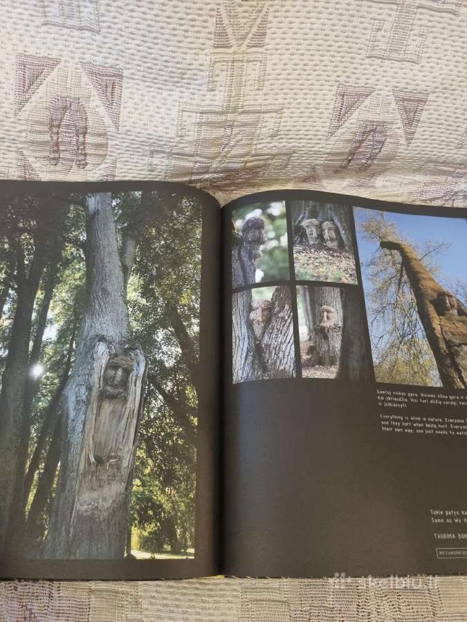 Žemės menas Vu botanikos sode - nuotraukos Nr. 8