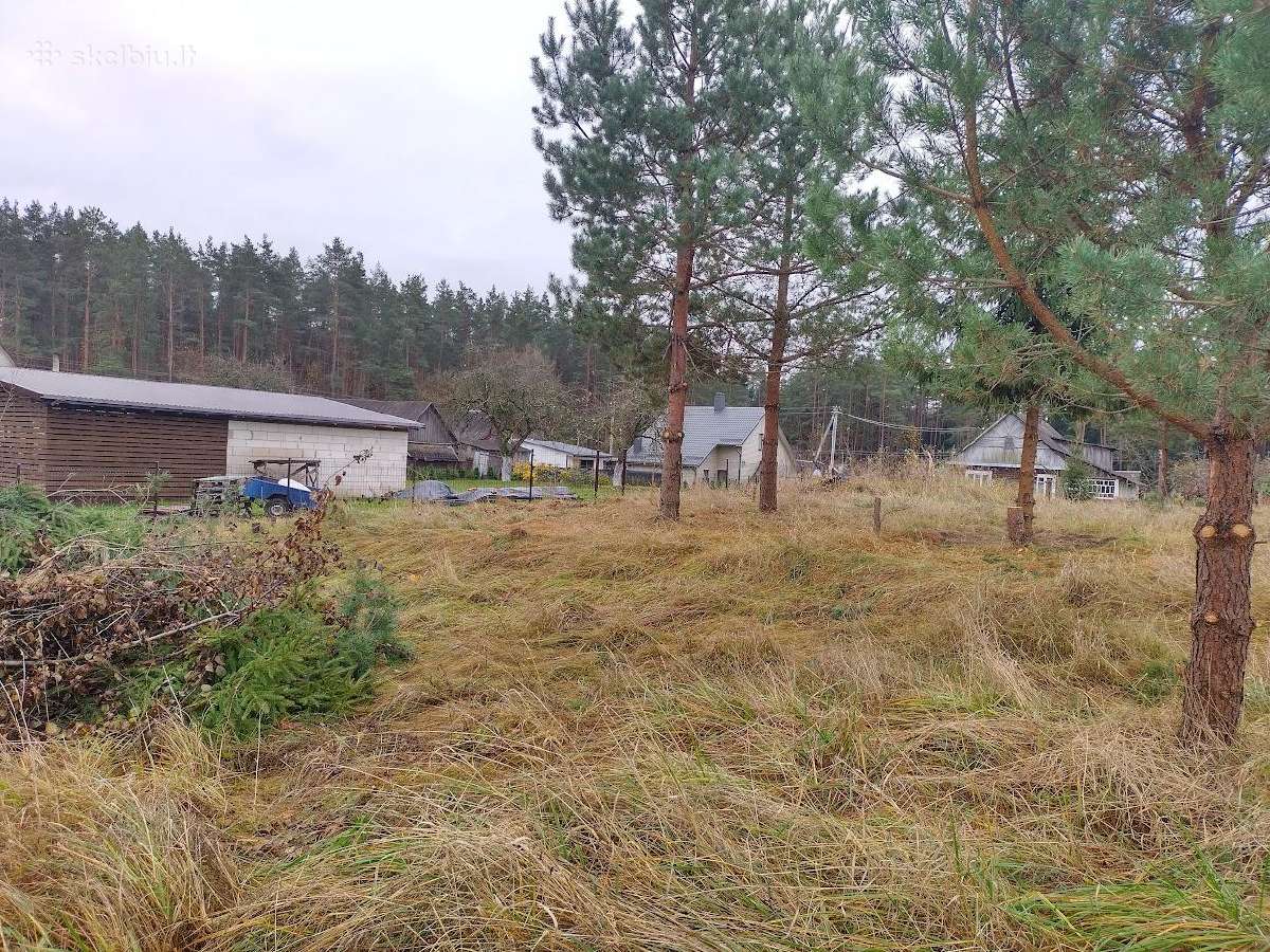 Parduodami sklypai Pabradės m. miško apsupty - nuotraukos Nr. 4