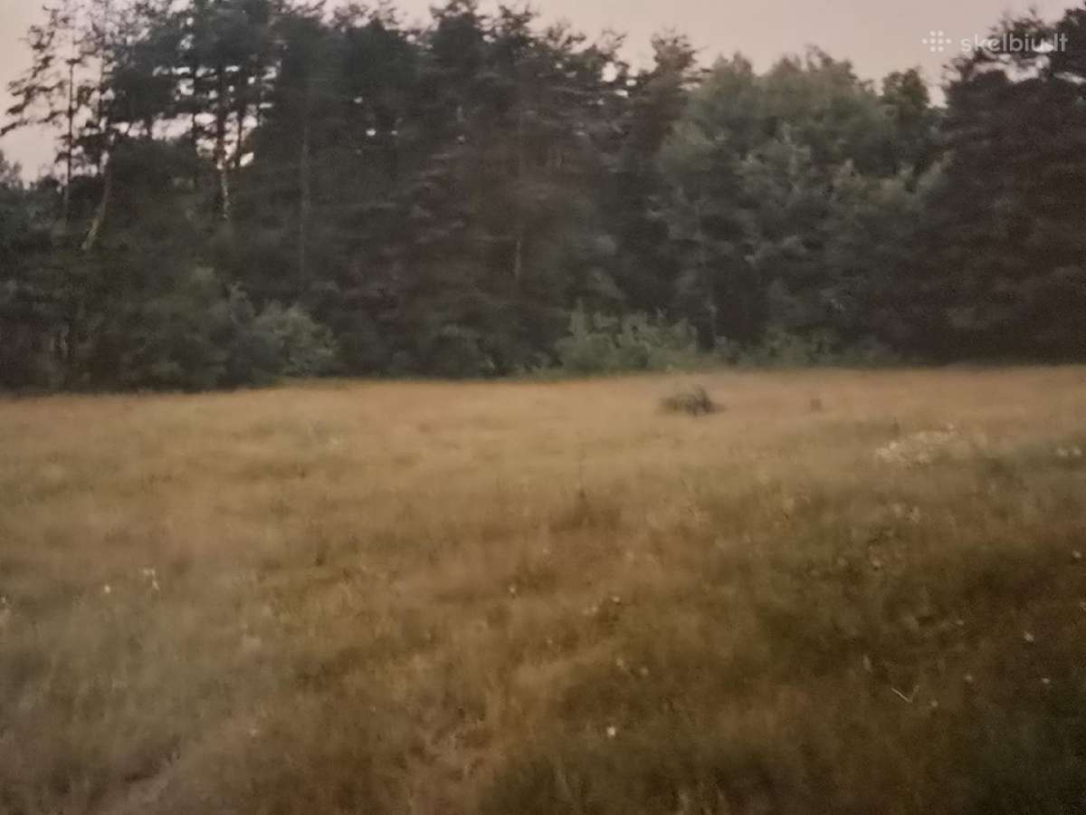 Žemės sklypas - nuotraukos Nr. 3