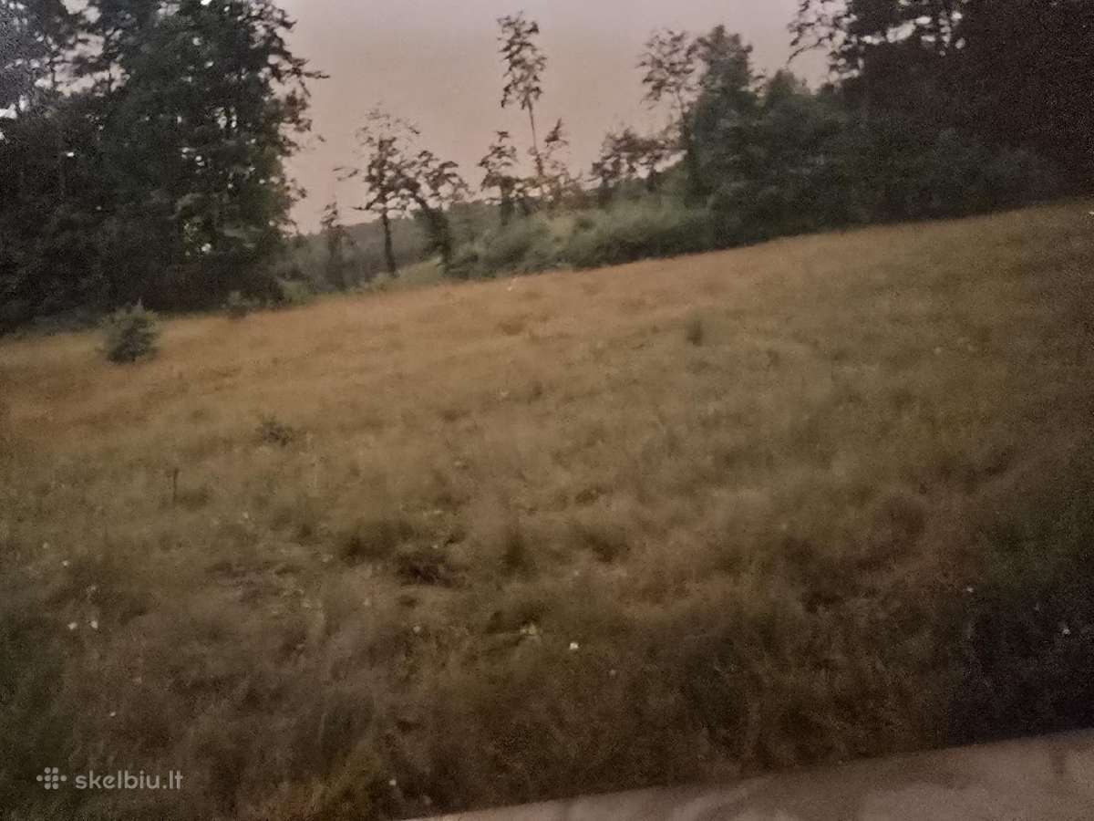Žemės sklypas - nuotraukos Nr. 4