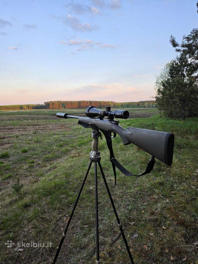 Mauser m12