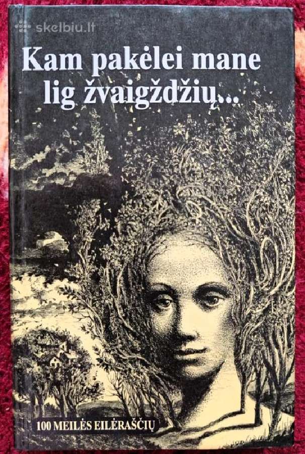 Poezijos knygos. 4 knygos. - nuotraukos Nr. 6
