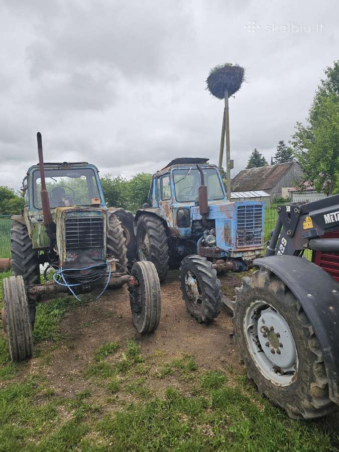 Mtz dalimis