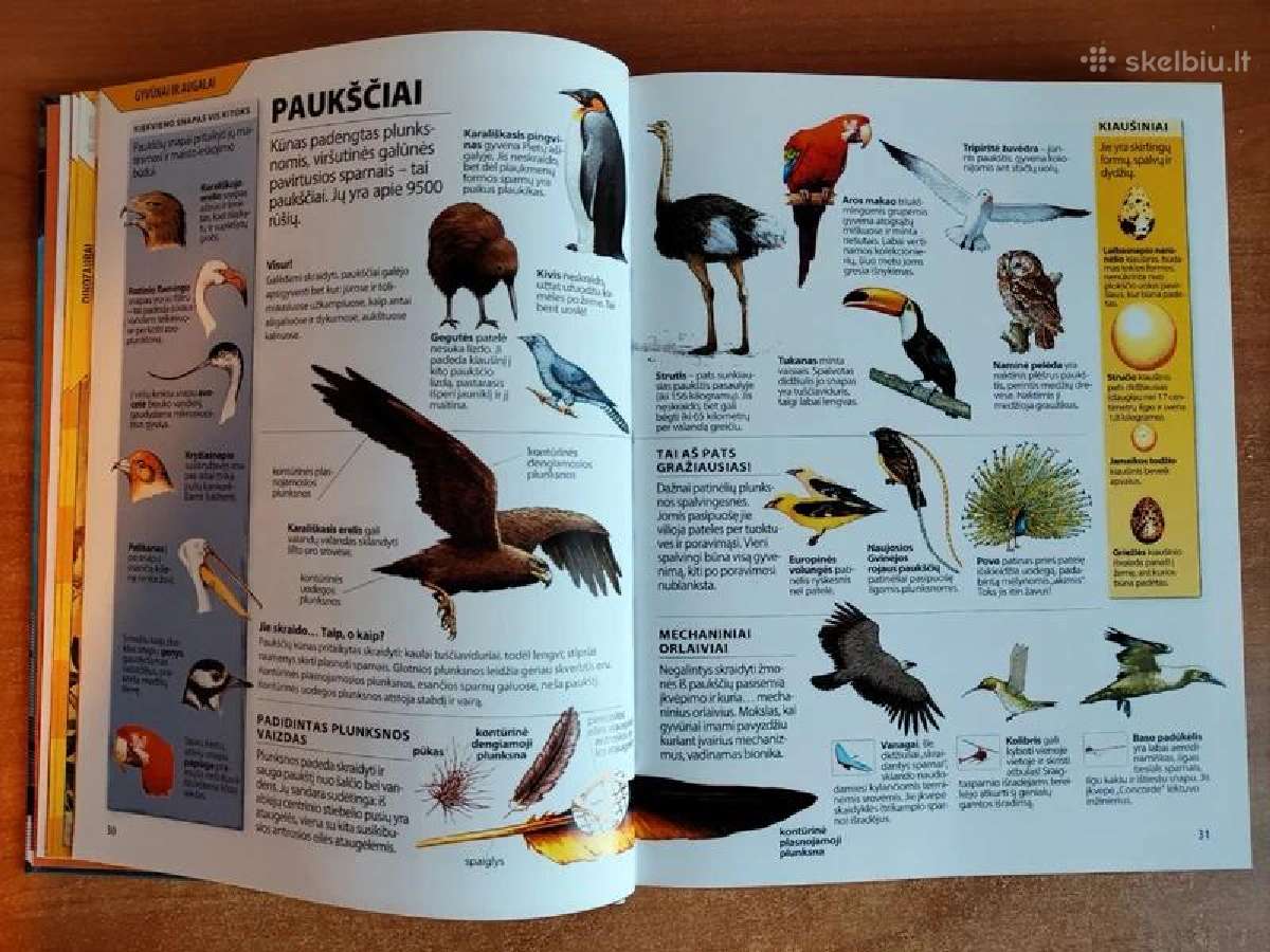 Vaikų Enciklopedija (Mokslo pažinimo knyga vaikams - nuotraukos Nr. 18