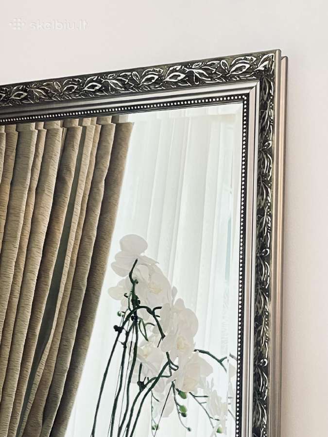Veidrodis su facetu 175cm*55 cm