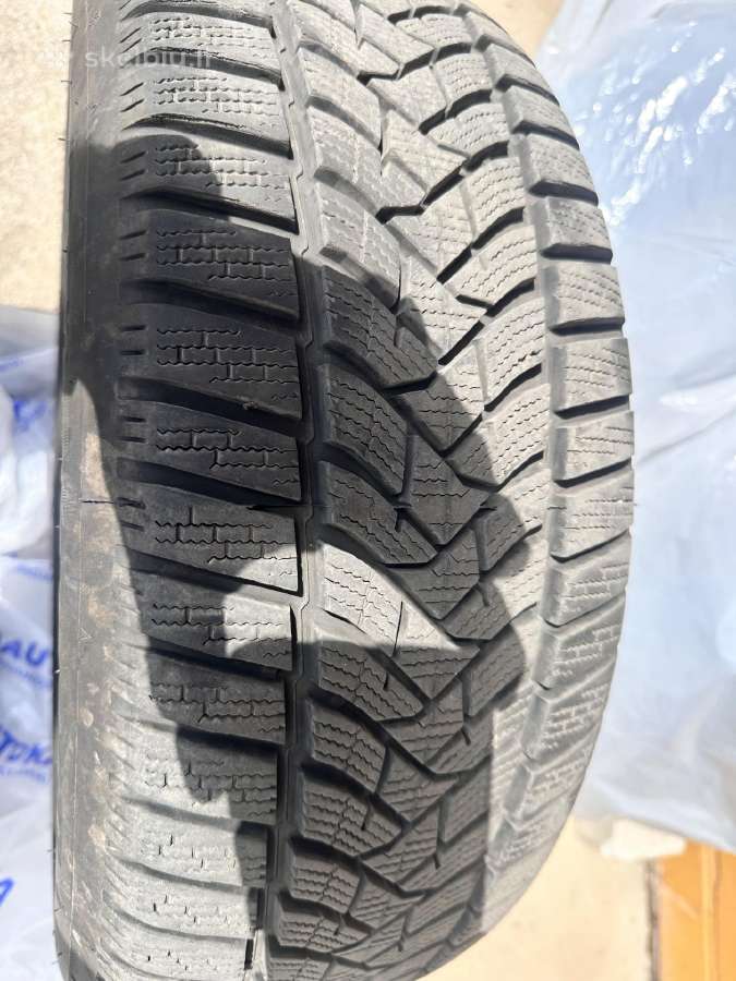 Dunlop Winter sport 5 - nuotraukos Nr. 2