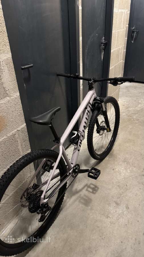 Specialized Rockhopper 29