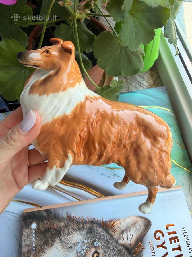 Porcelianinė kolio (Collie) veislės šuns figūrėlė
