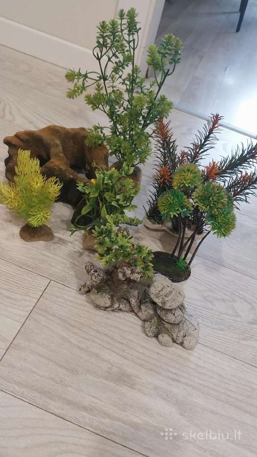 Akvariumas 70 litrų su dekoracijomis - nuotraukos Nr. 4