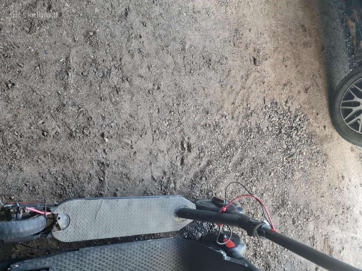 Elektrinius paspirtukus važiuoja 4 vnt už viska